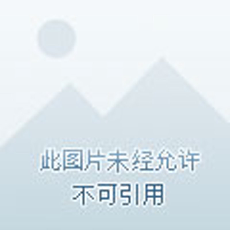 分享赚APP开发：构建社交经济新生态